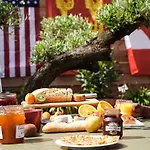 Ibis Porte D'angleterre فندق كان