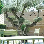 فندق Ibis Porte D'angleterre 3*