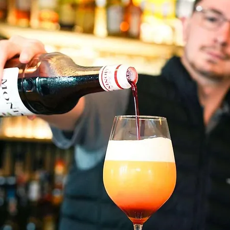 Ibis Porte D'angleterre فندق كان